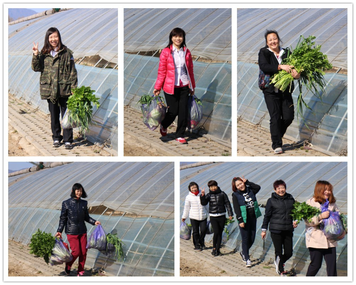 靓丽女人节,绿色采摘行 盛智丰苑物业开展迎三八采摘活动